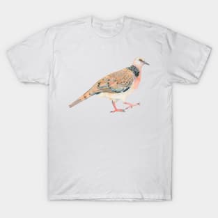 Spotted Dove wattercolour bird illustration T-Shirt